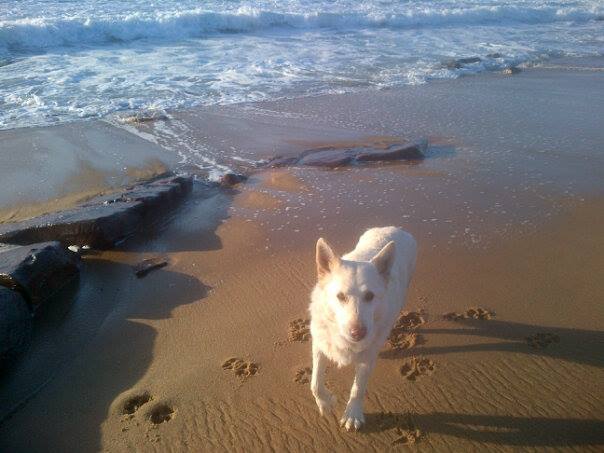 1238326_10151894567890631_1695968251_n