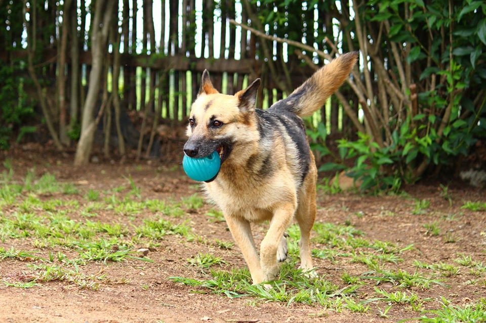 25074955_1614998038559128_8199309078750105216_o