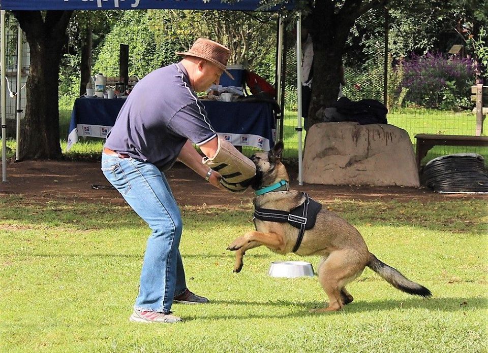 35484861_1822263521165911_2932281628765978624_o