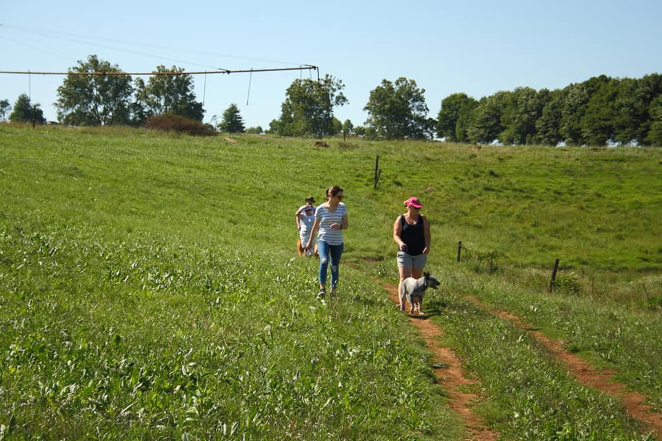 48379984_2091307347594859_8794899485156179968_n